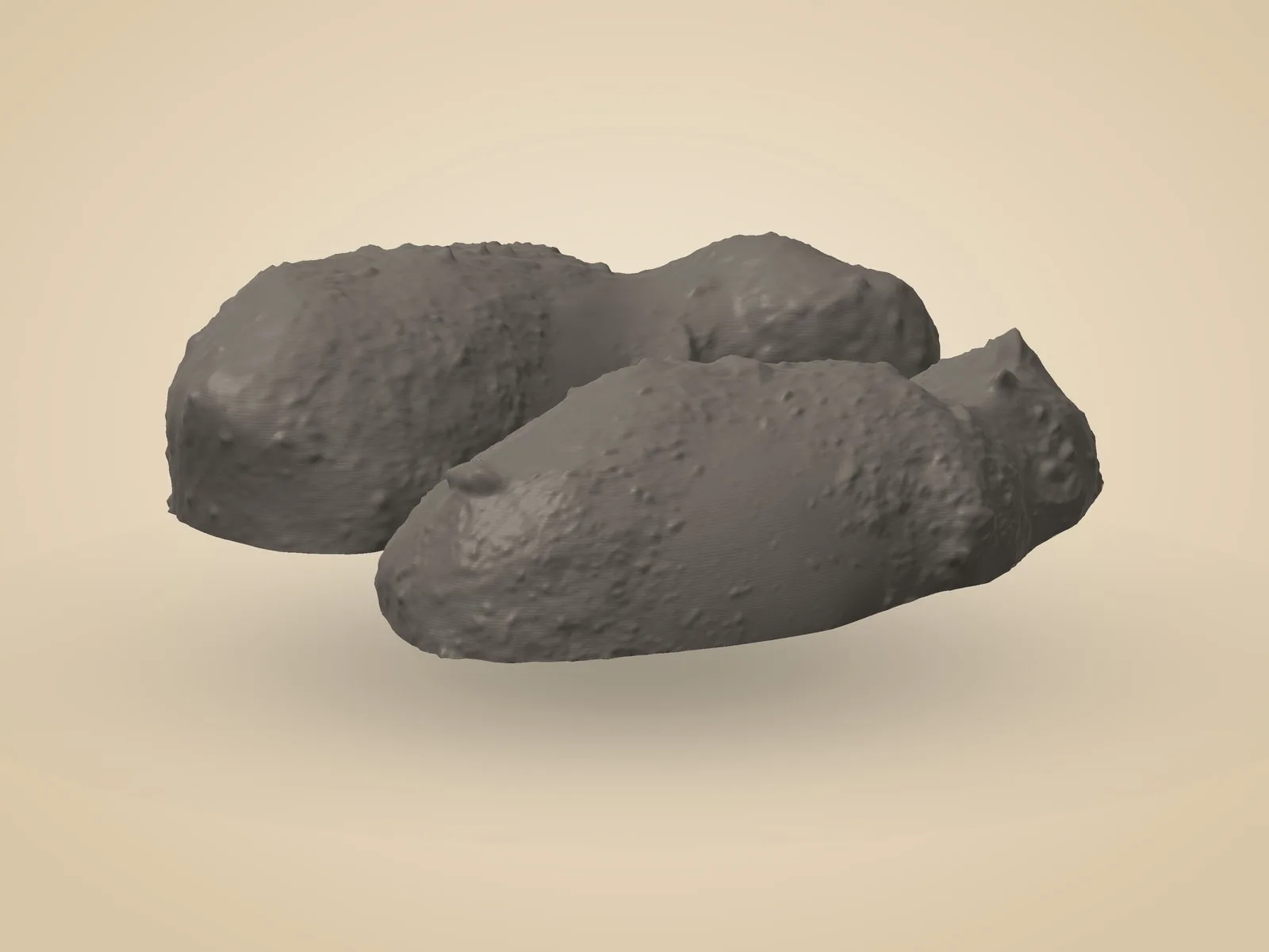 Asteroid 25143 Itokawa