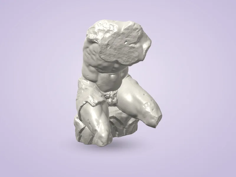 Belvedere Torso