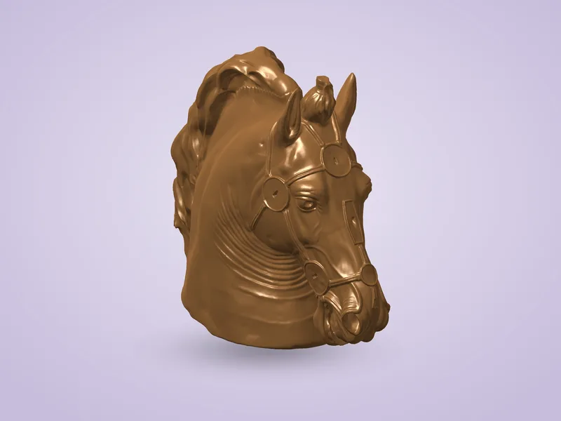 Tête du cheval de Marc Aurèle