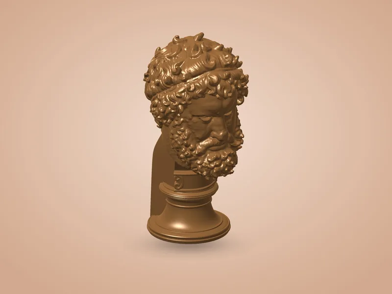 Head of a Boxer