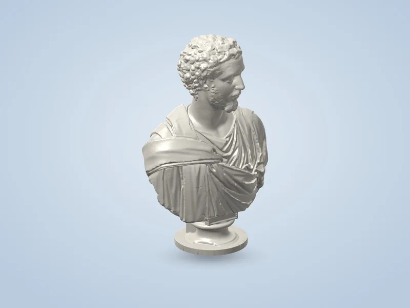 Buste masculin