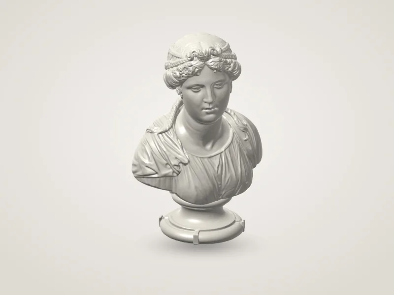Bust of a Young Woman (Simone Bianco)