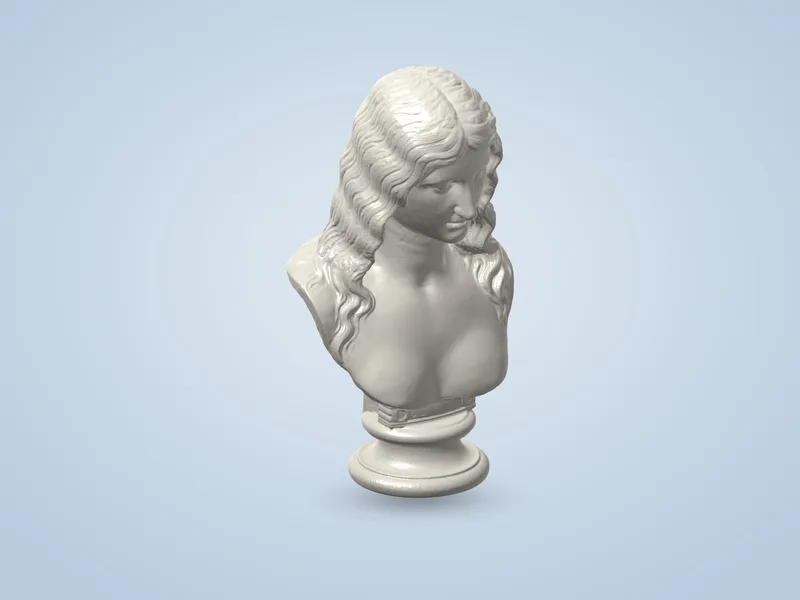 Femme aux longs cheveux dénoués