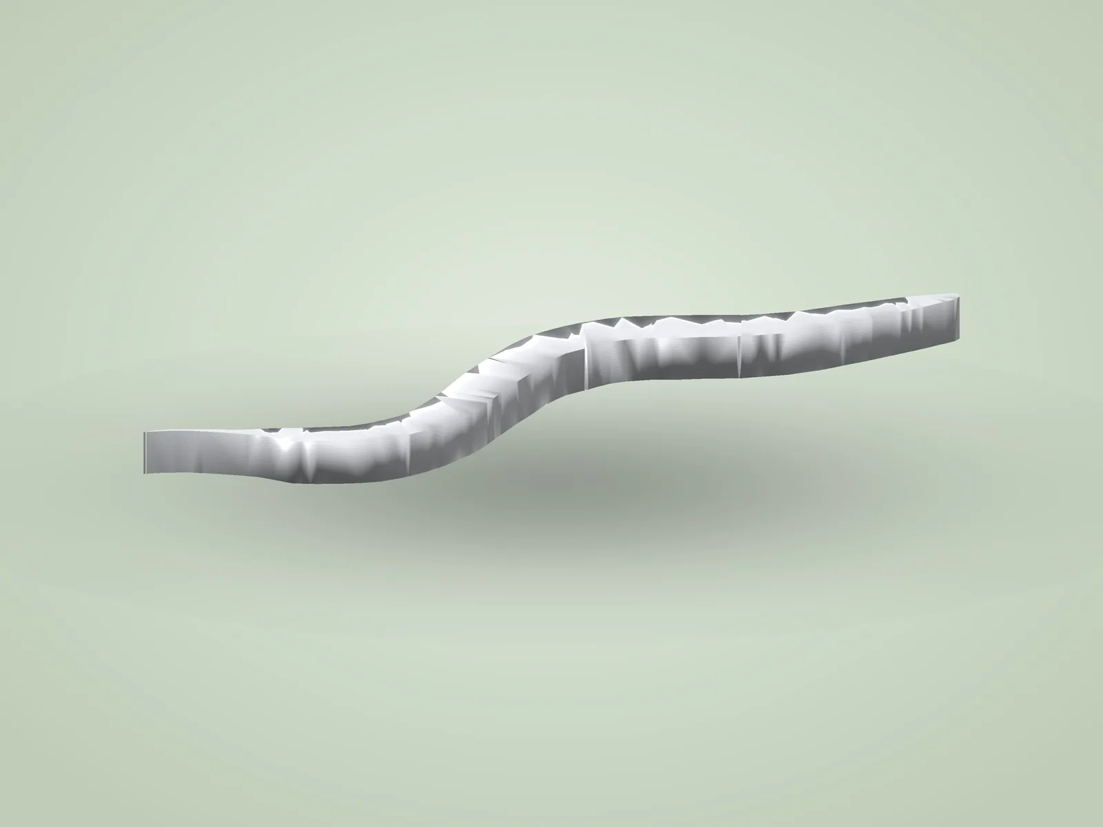 C. elegans Worm
