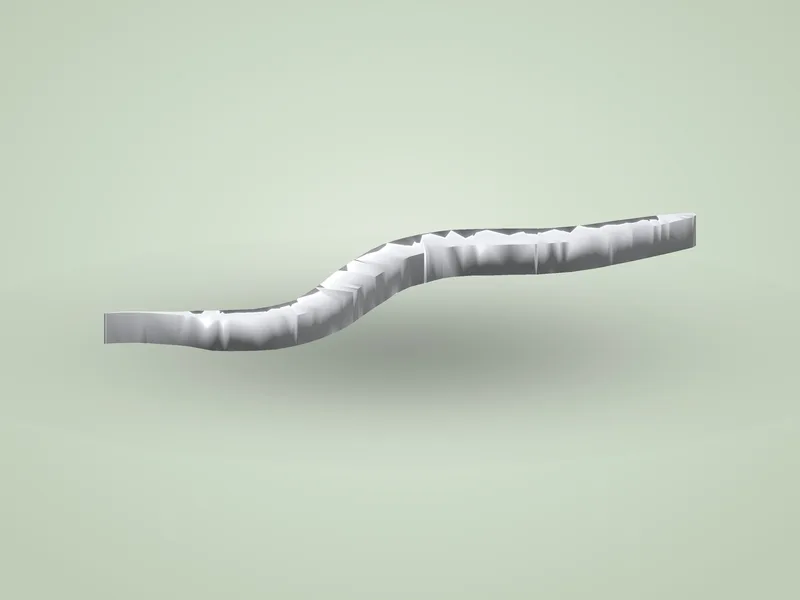 C. elegans Worm