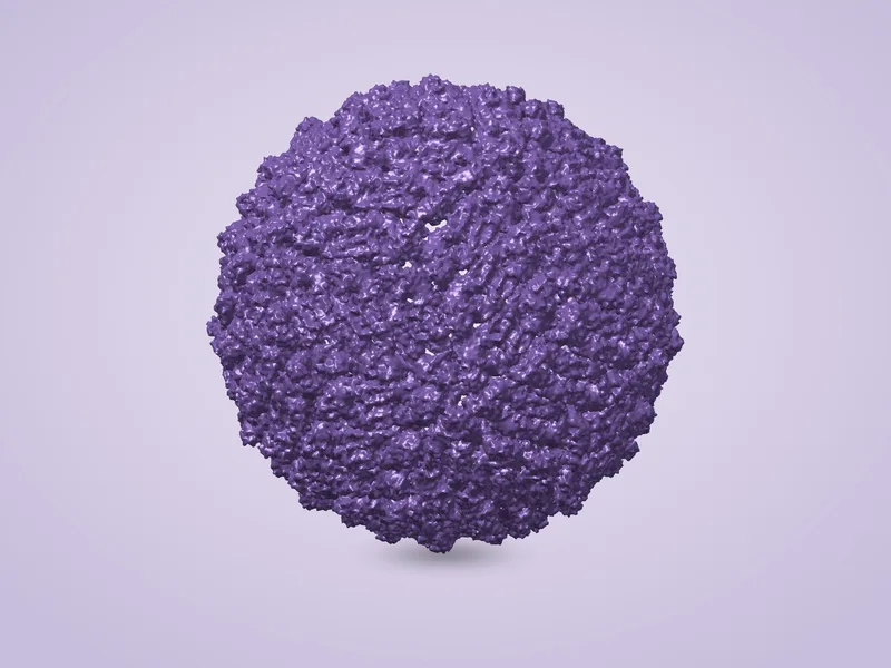 Dengue Virus