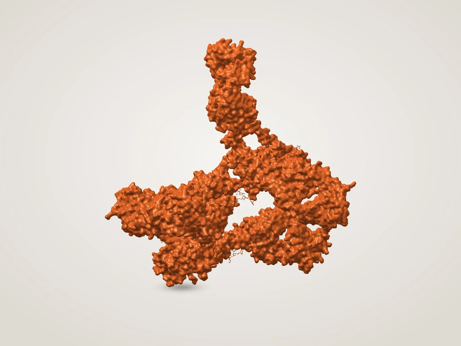 Ebola Virus Glycoprotein