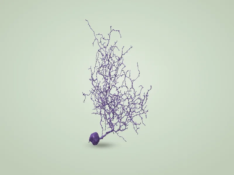 Retinal Neuron (EyeWire)