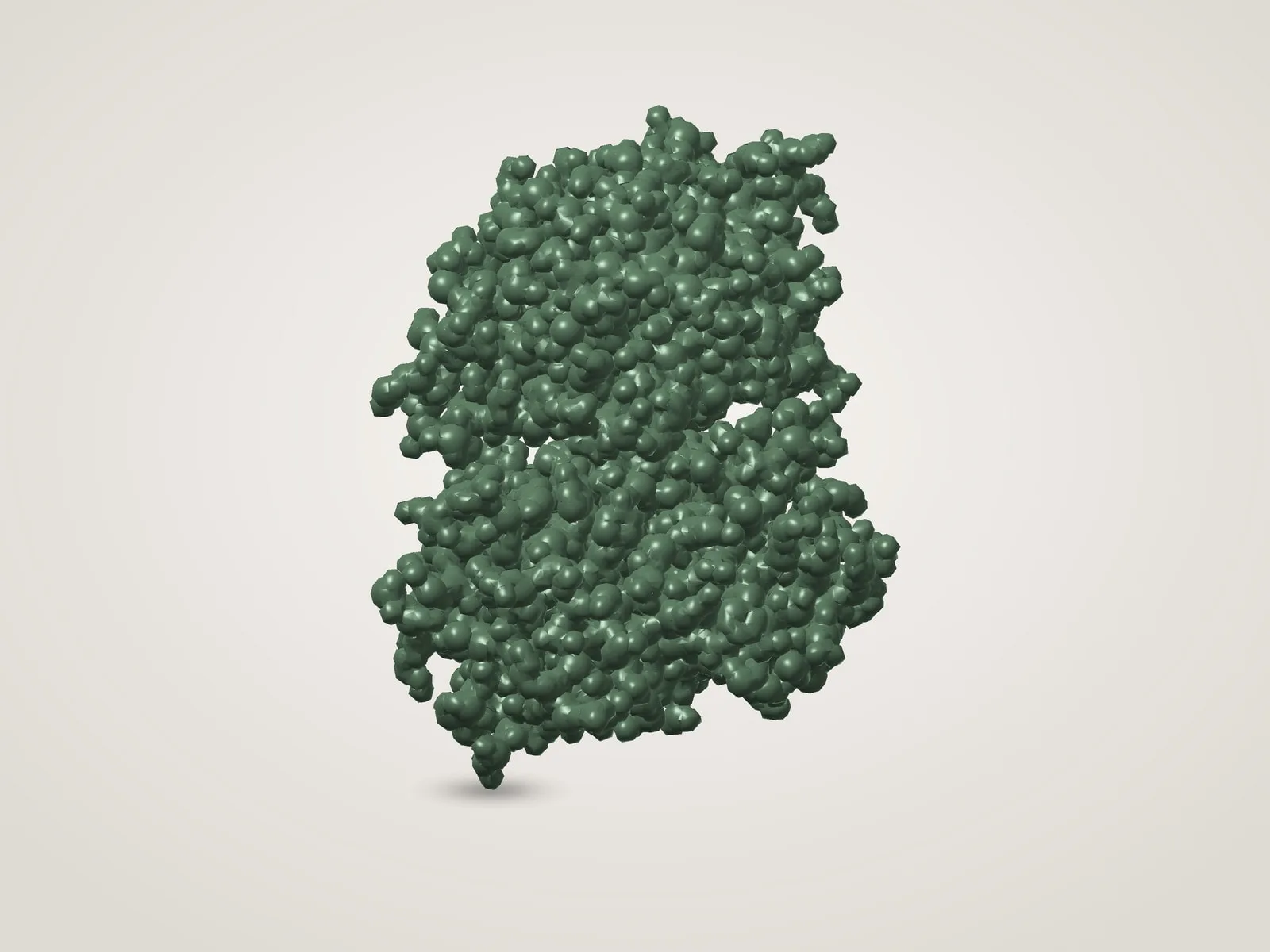 Green Fluorescent Protein (GFP)