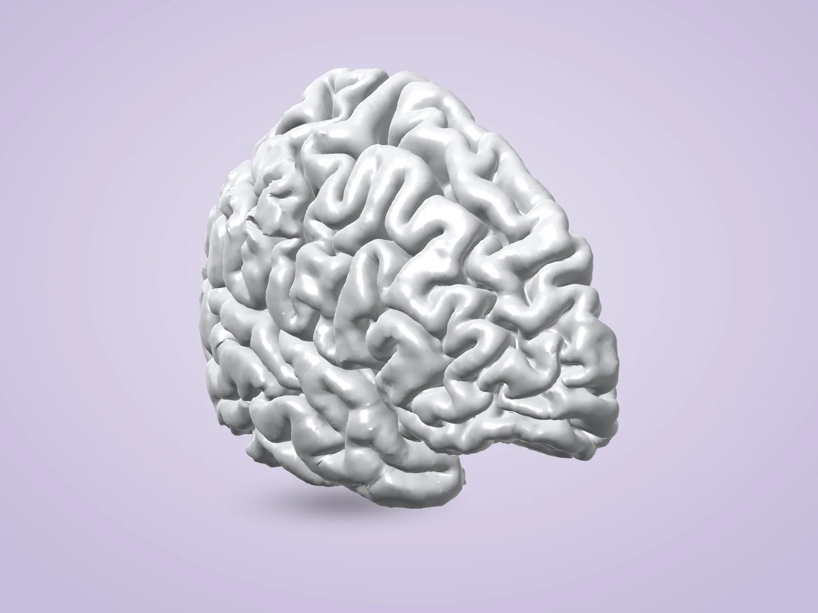 Human Brain (2 Hemispheres) — Left Hemisphere