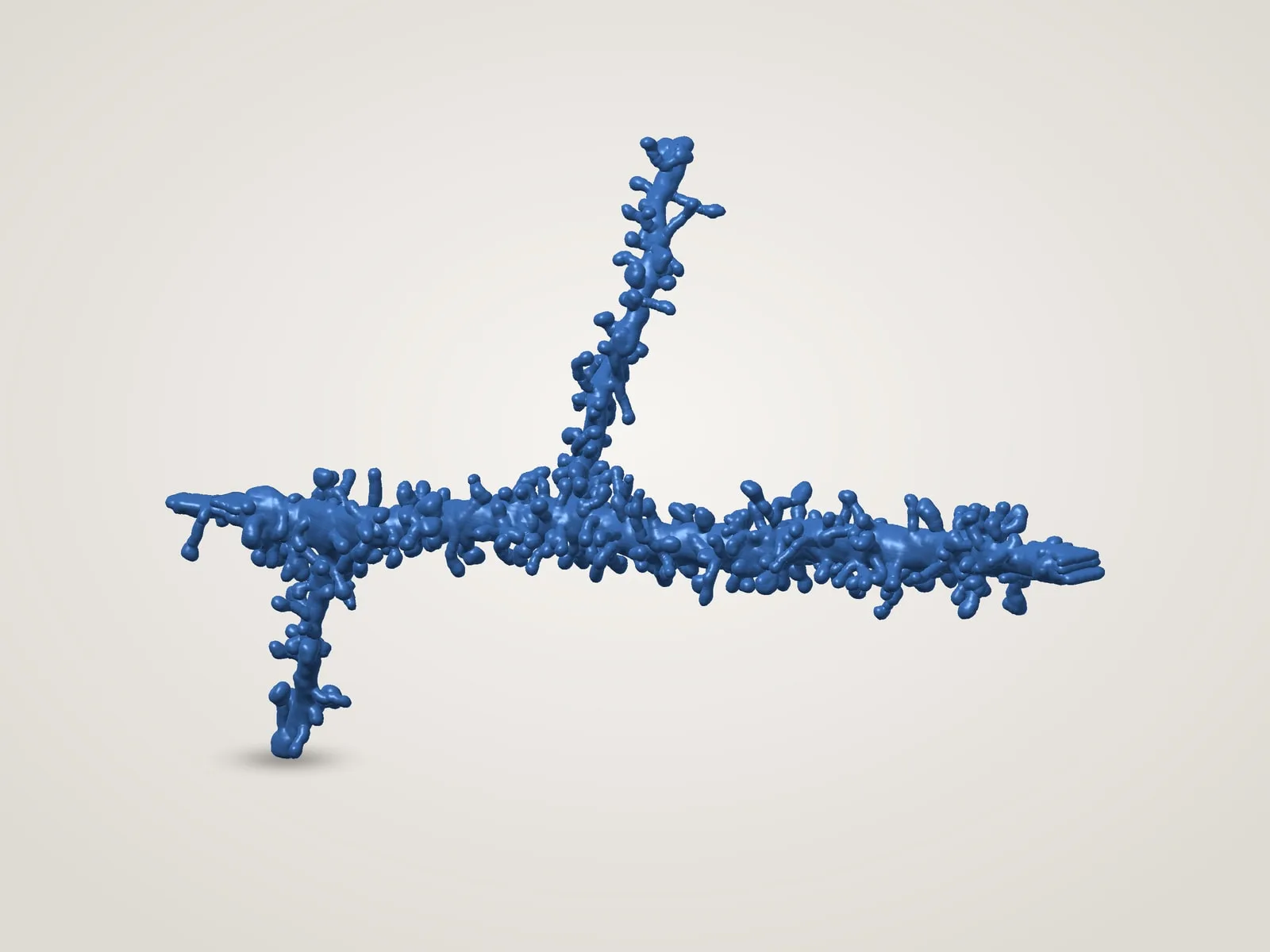 Spiny Dendrite of a Neuron