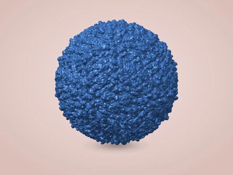 Virus Zika