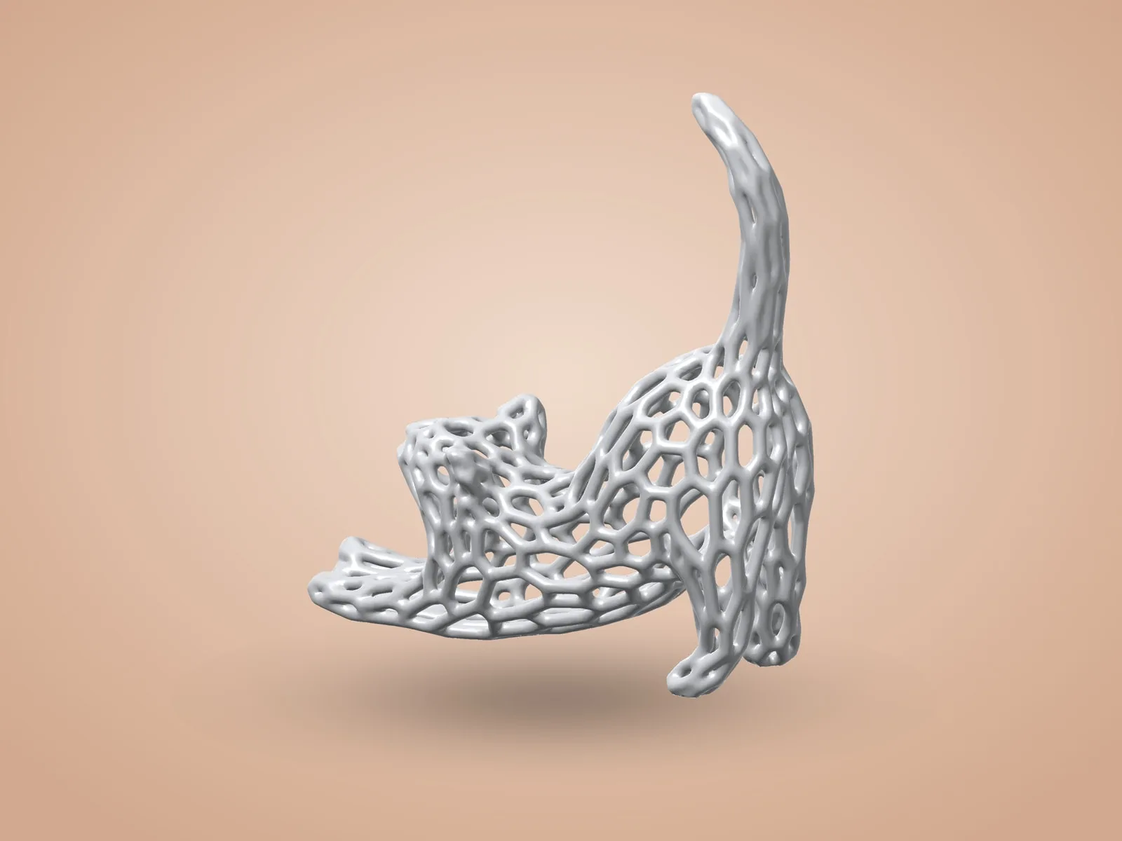 Stretching Cat (Voronoi)