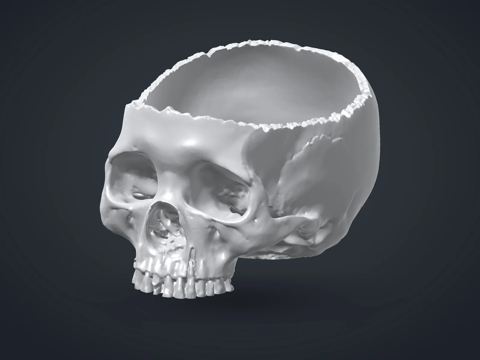 Skull Candy Bowl
