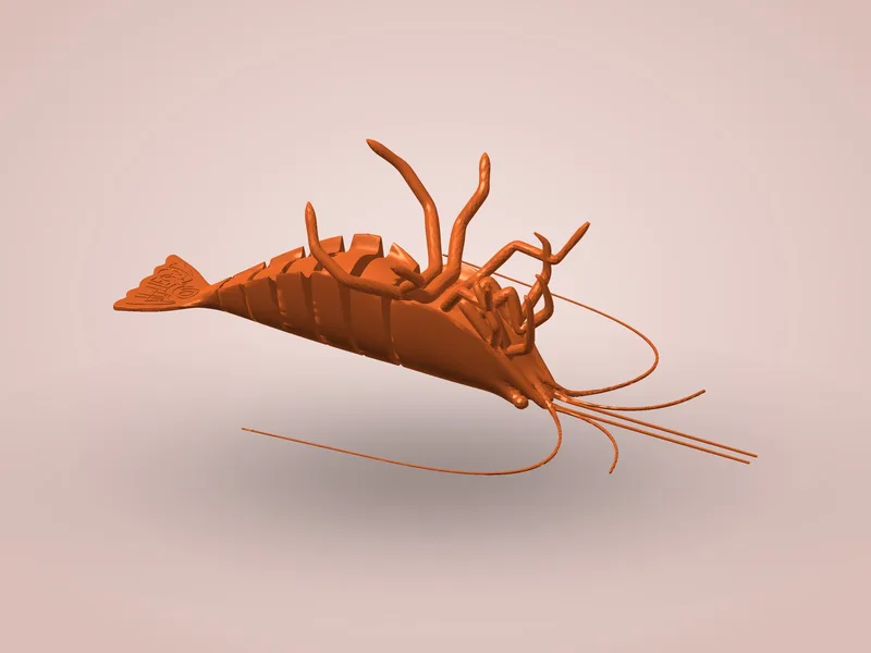 Articulated Shrimp