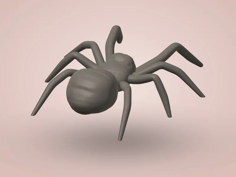 Spider